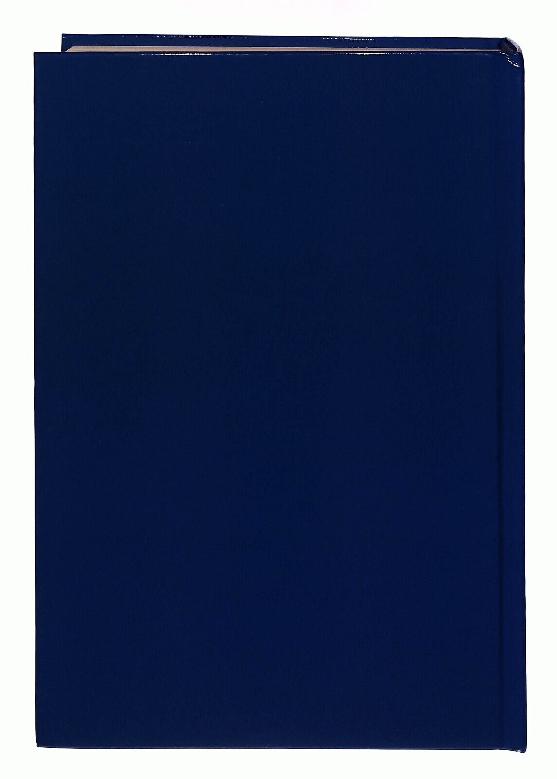 EBOND Almanacco Illustrato Calcio 1983 Edizioni Panini Modena Libro LI030356