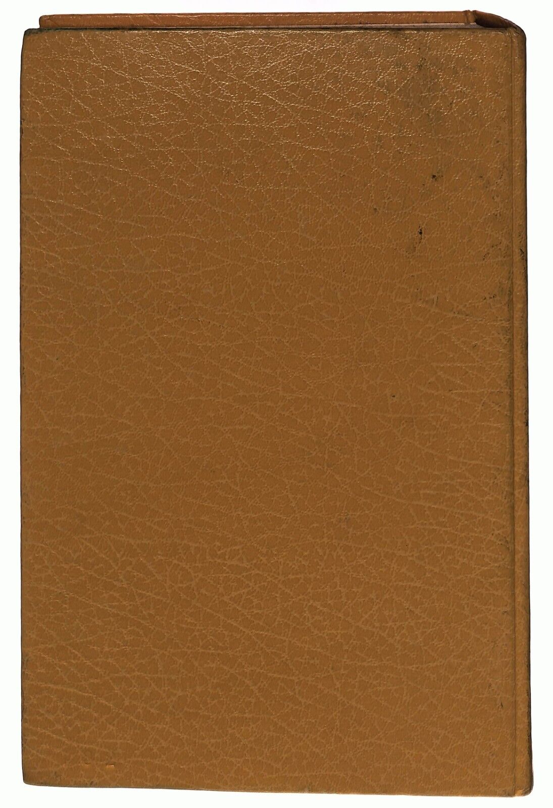 EBOND Pediatria Essenziale Burgio Perinotto Utet 1978 Libro LI030901