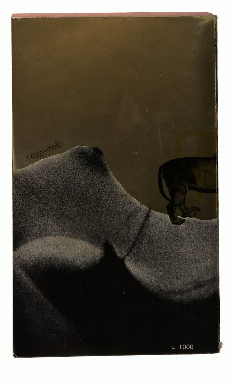 EBOND La Mia Vita Segreta Dellavalle Editore Libro LI031002