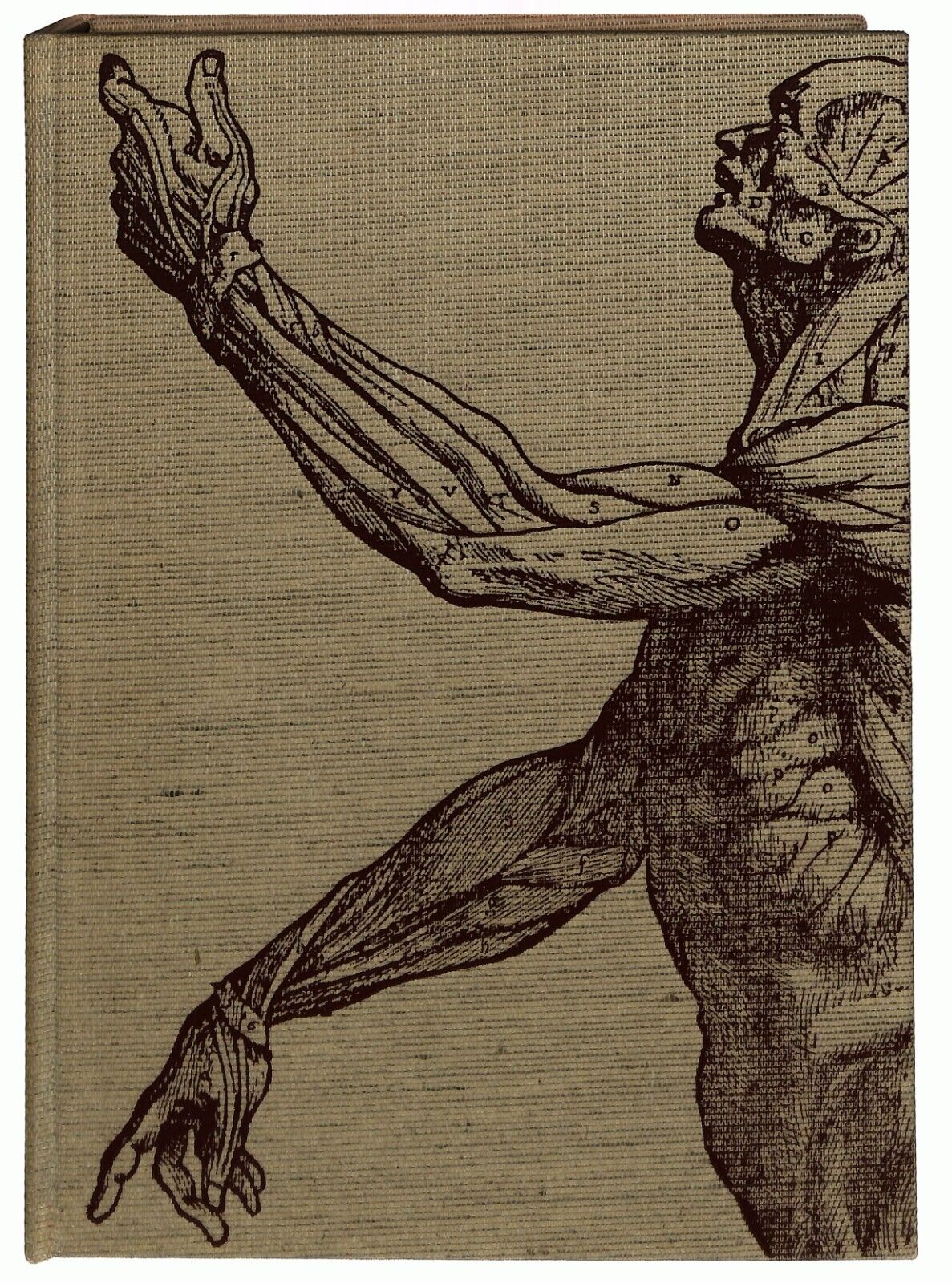 EBOND Le Meraviglie Del Nostro Corpo 2 Vol. Selezione 1964 Di Libro LI032651