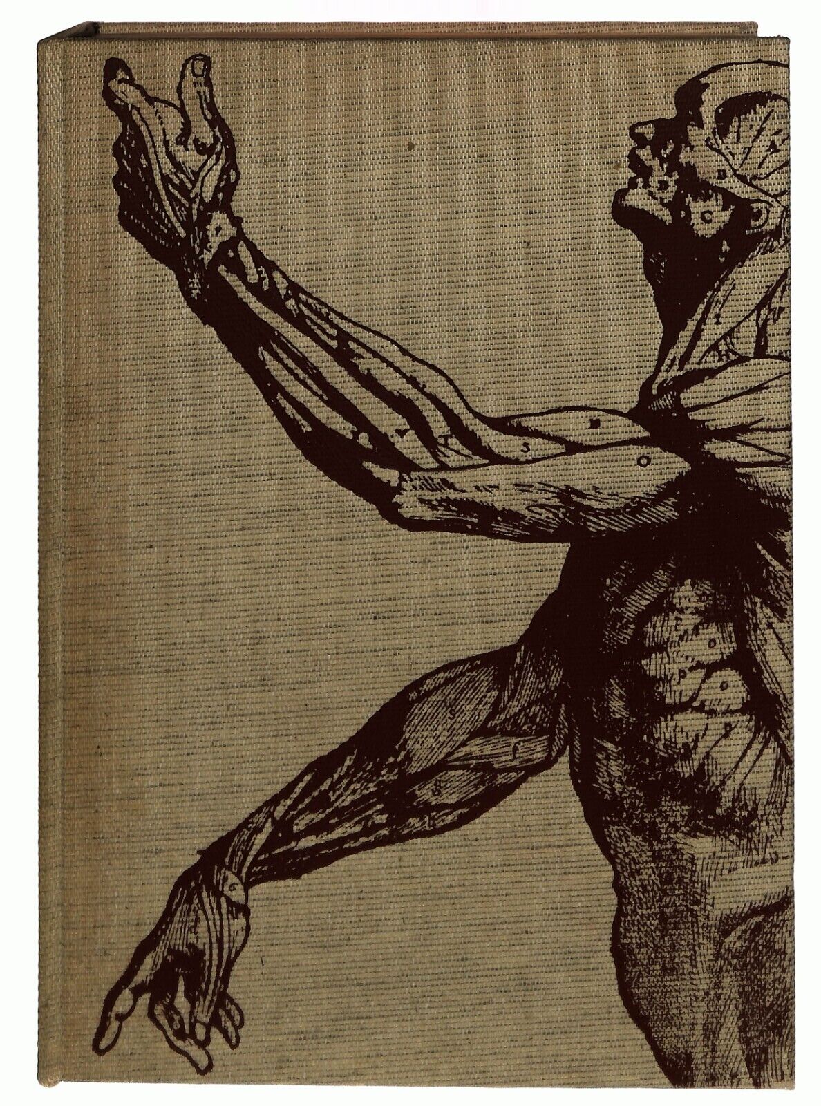 EBOND Le Meraviglie Del Nostro Corpo 2 Vol. Selezione 1964 Di Libro LI032651