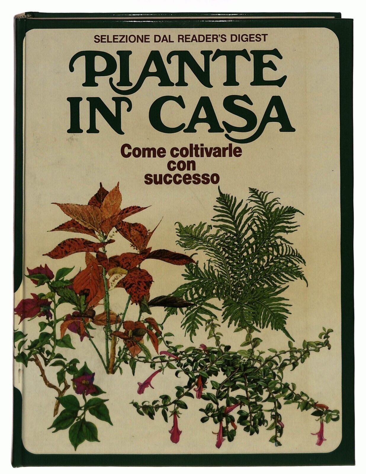 EBOND Piante In Casa Come Coltivarle Con Successo Selezione 1981 Libro LI032655