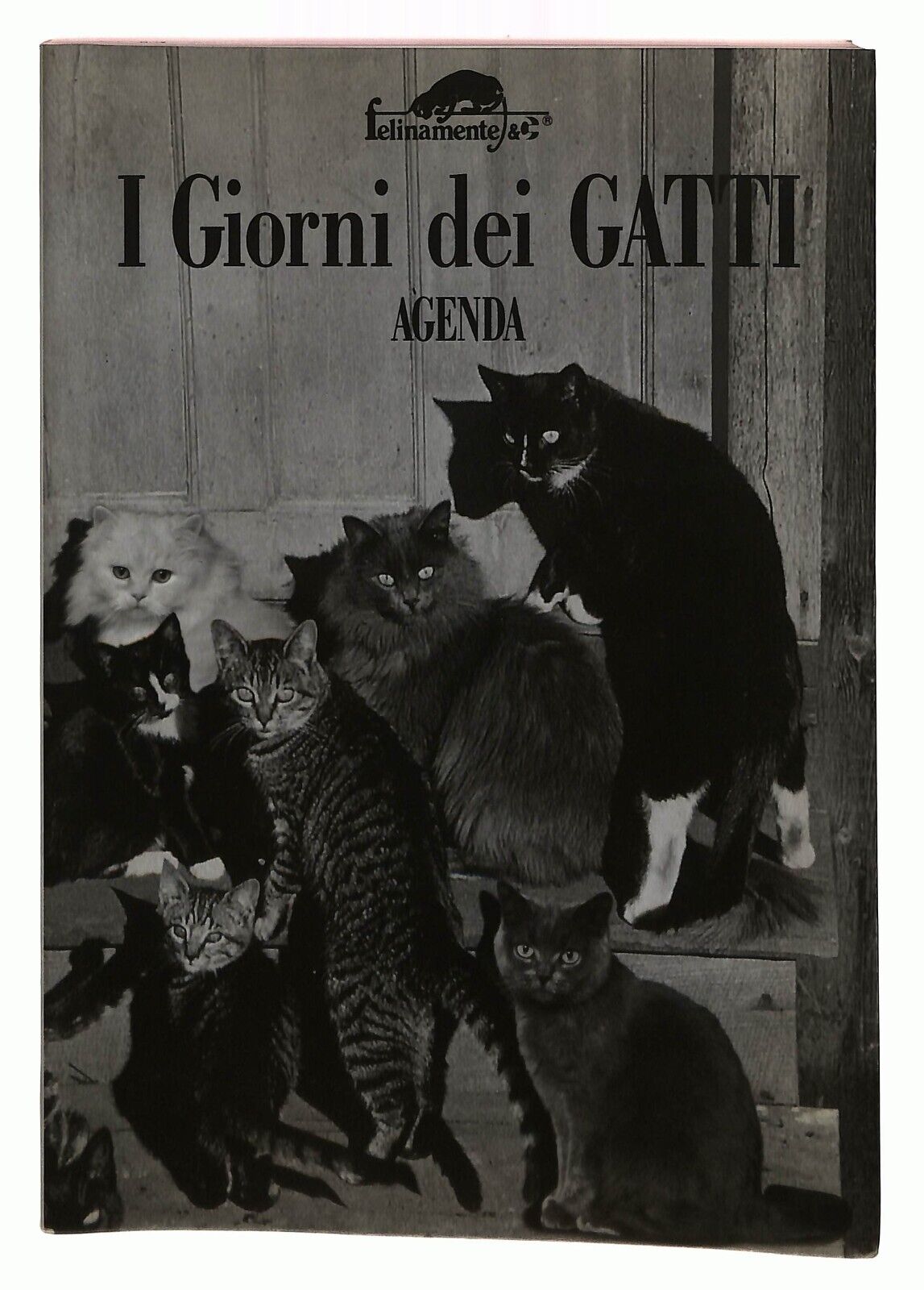EBOND Agenda I Giorni Dei Gatti Libro LI032805