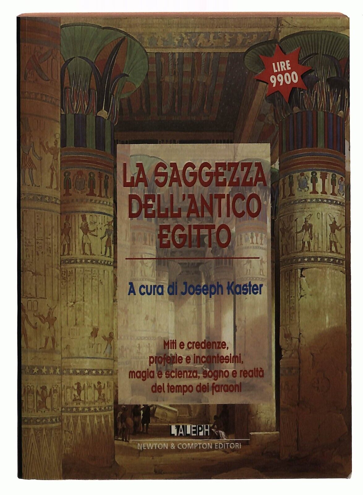 EBOND La Saggezza Dell'antico Egitto J. Kaster Newton 1998 Libro LI032815