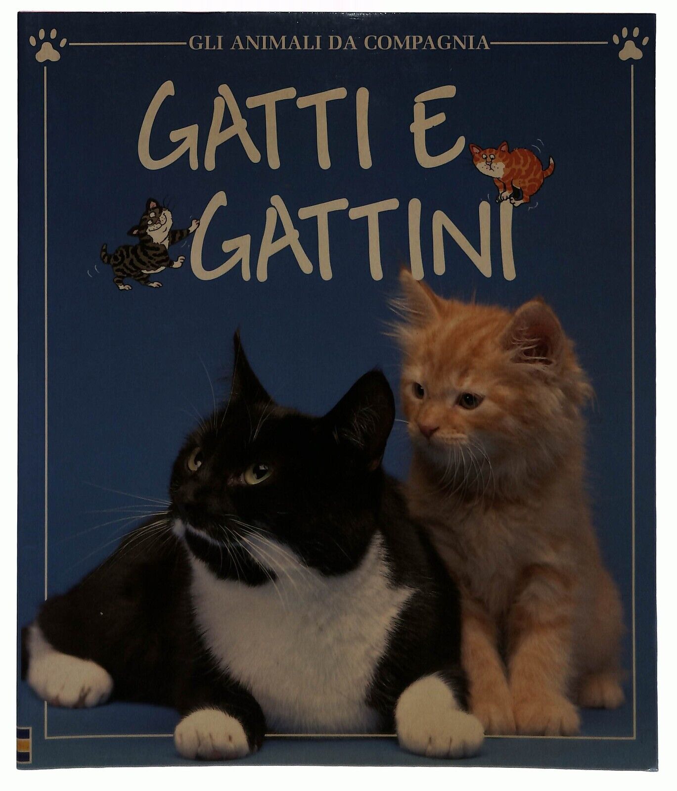 EBOND Gatti e Gattini Gli Animali Da Compagnia Guida Usborne Libro LI032822