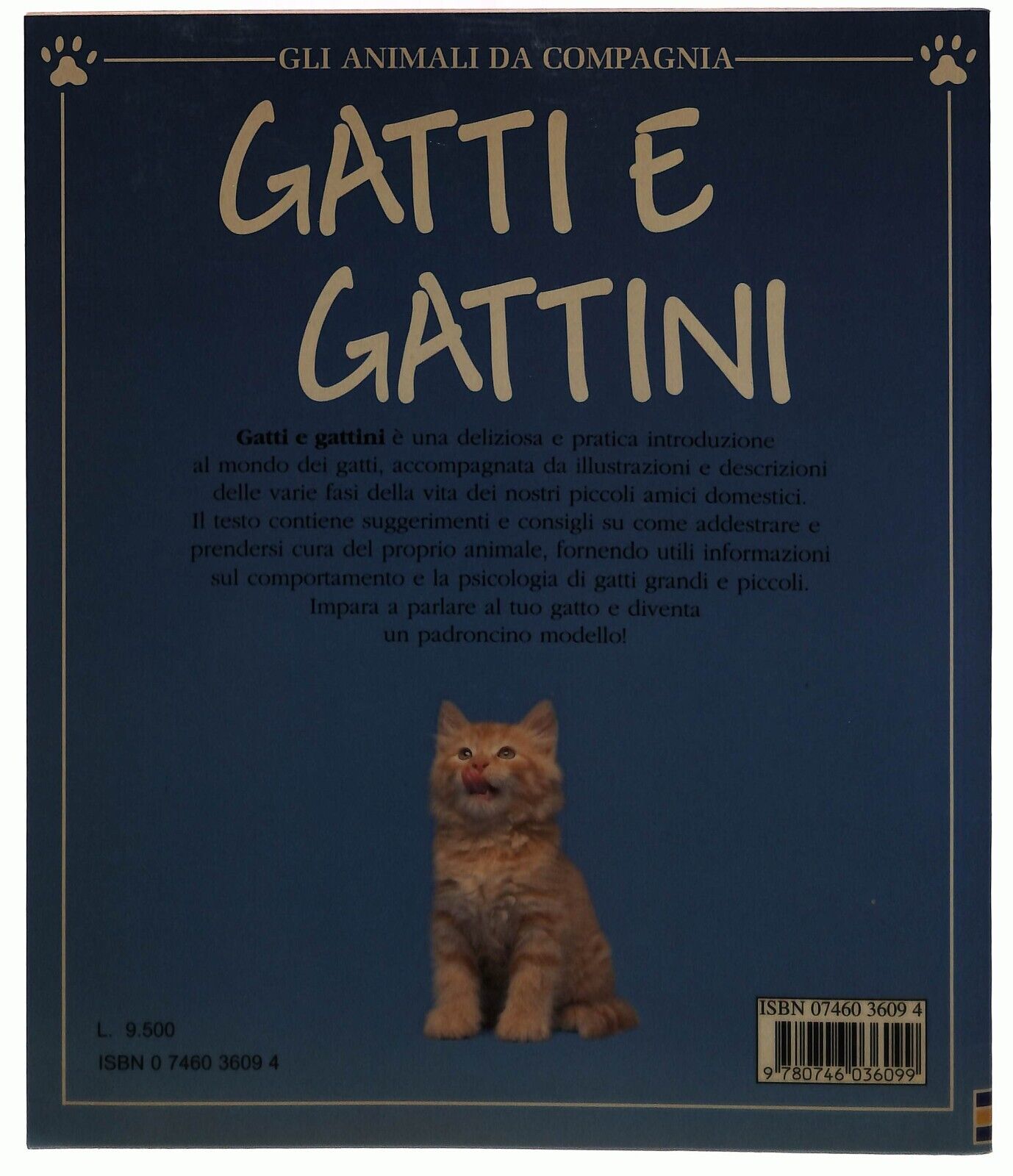 EBOND Gatti e Gattini Gli Animali Da Compagnia Guida Usborne Libro LI032822