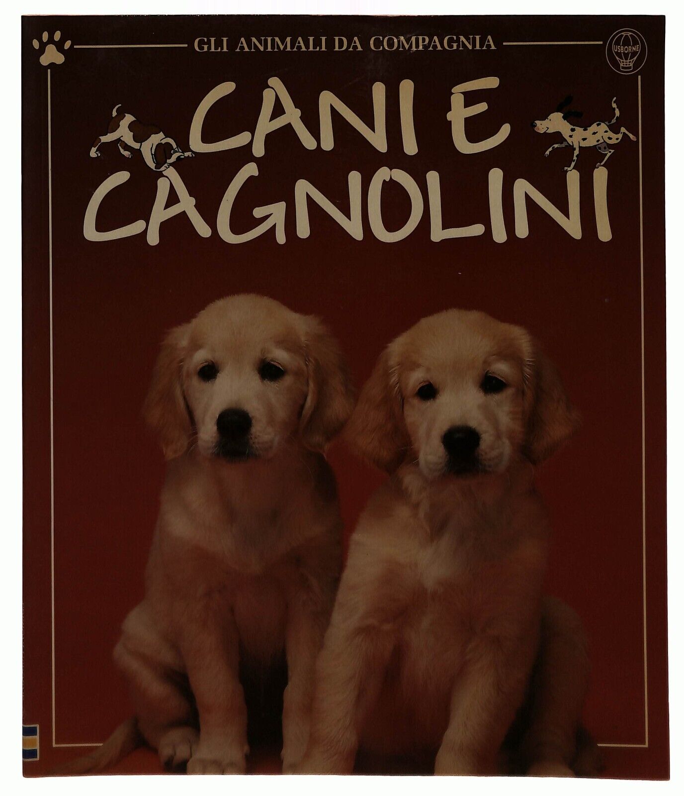 EBOND Cani e Cagnolini Gli Animali Da Compagnia Guida Usborne Libro LI032823