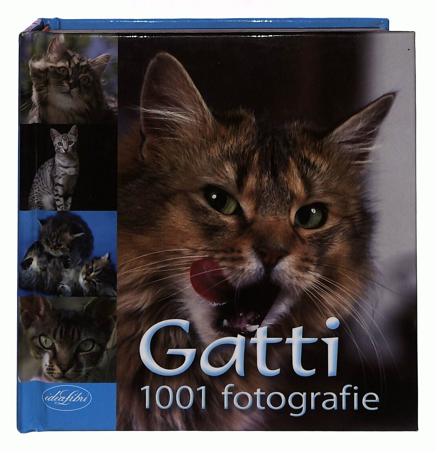EBOND Gatti 1001 Fotografie Libro LI033189