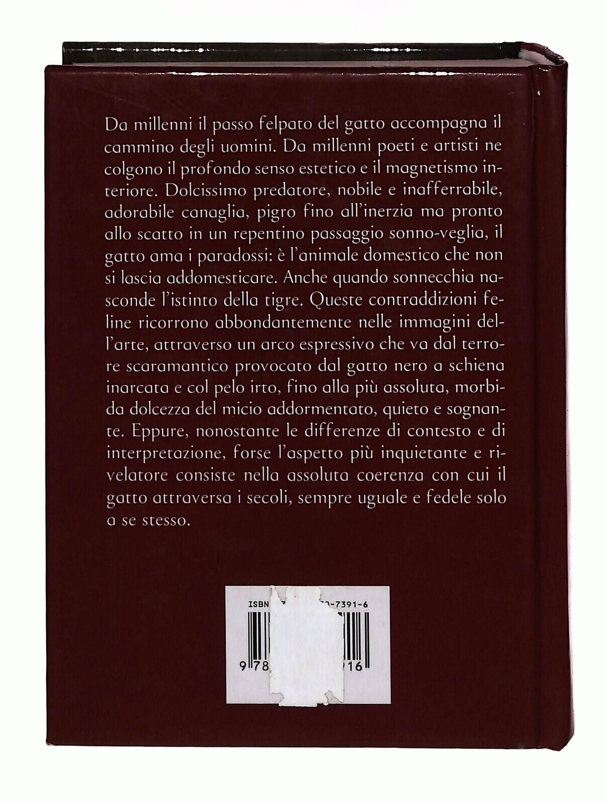 EBOND Gatti. Giulio Siro Mondadori Arte Libro LI033190