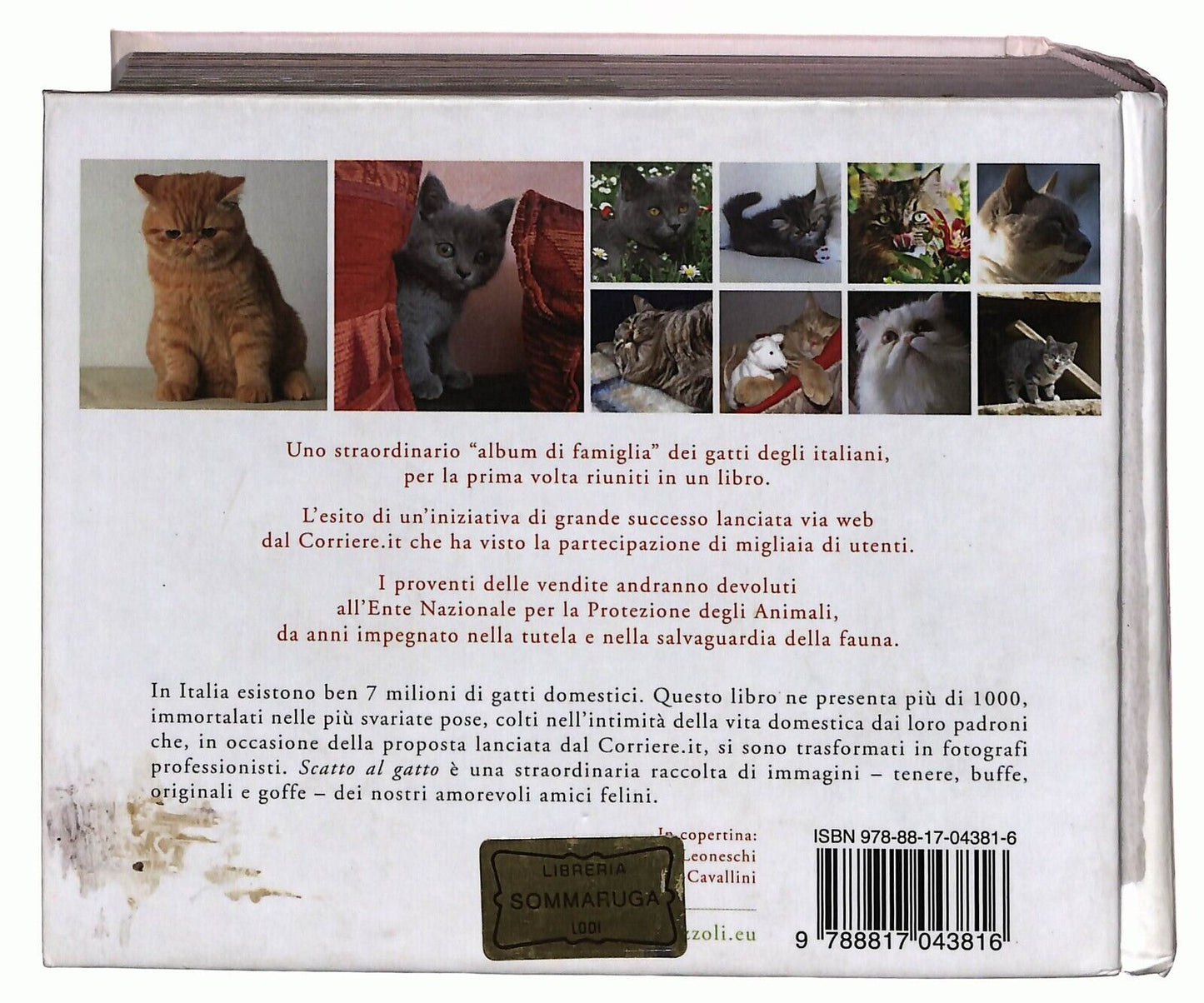 EBOND Scatto Al Gatto Oltre 1000 Gatti Italiani Corriere Sera Libro LI033191