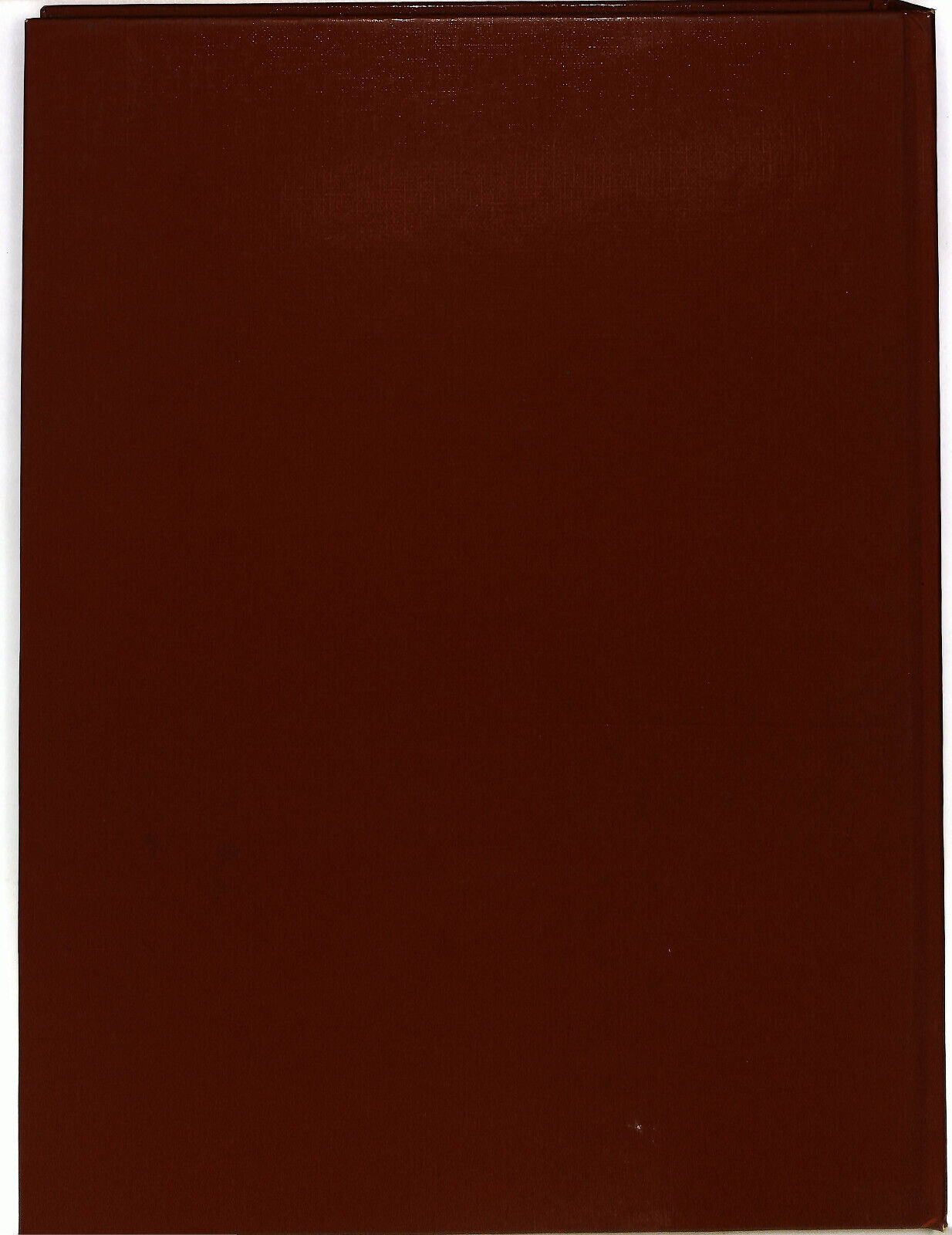 EBOND Italia Meravigliosa Il Palazzo Italiano Tci Libro LI033231