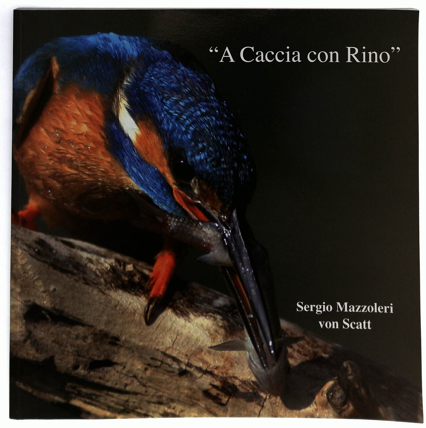 EBOND A Caccia Con Rino Di Sergio Mazzoleri Von Scatt Libro LI033314