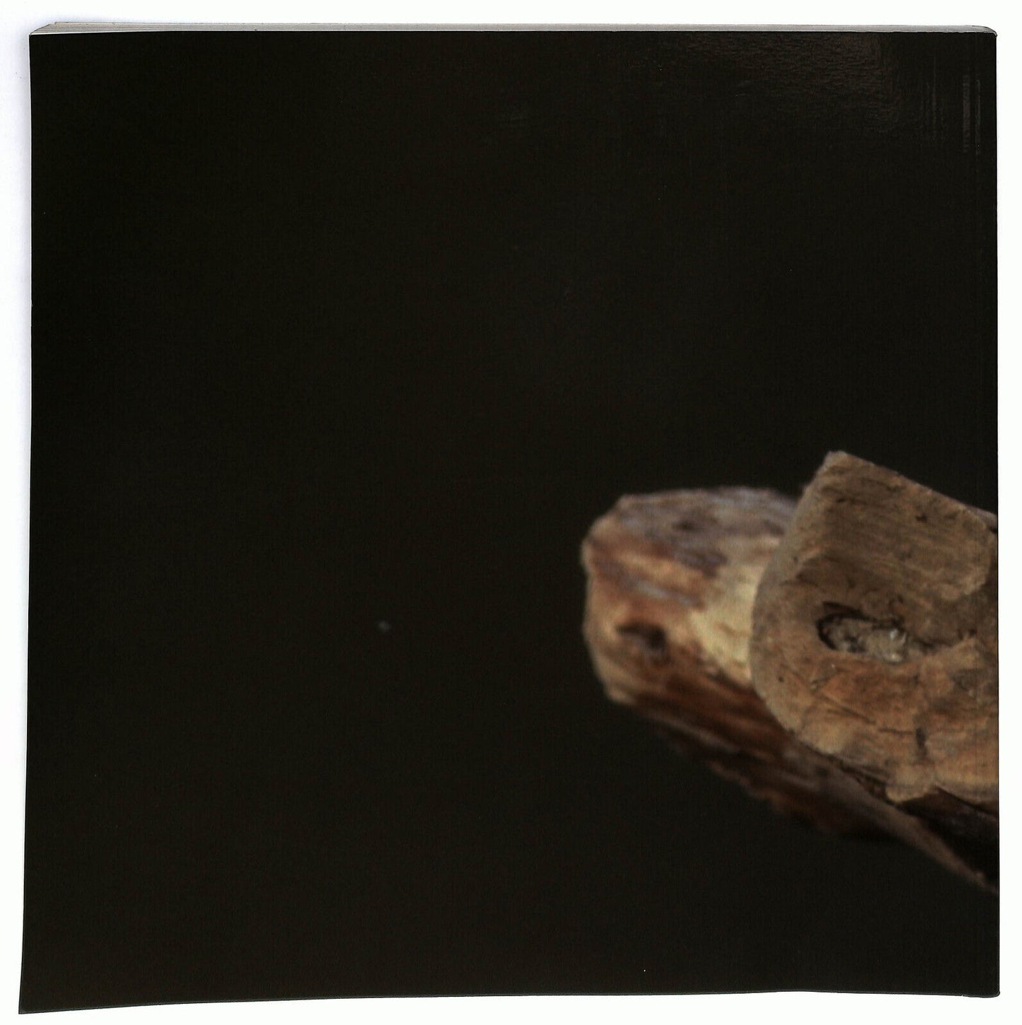 EBOND A Caccia Con Rino Di Sergio Mazzoleri Von Scatt Libro LI033314