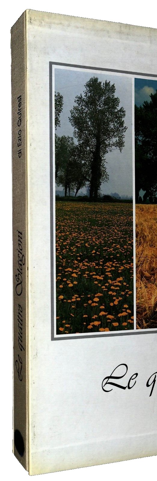 EBOND Le Quattro Stagioni Ezio Quiresi 1990Li0033376 Libro LI033376
