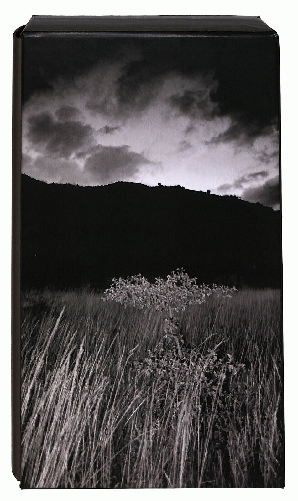 EBOND Biblioteca Repubblica Ottocento N. 9 Cime Tempestose Libro LI034308