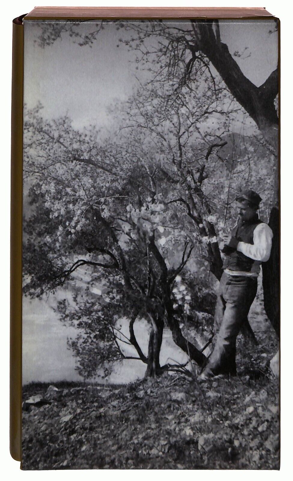 EBOND i Malavoglia Vol. 5 Giovanni Verga Ottocento Repubblica Libro LI034528