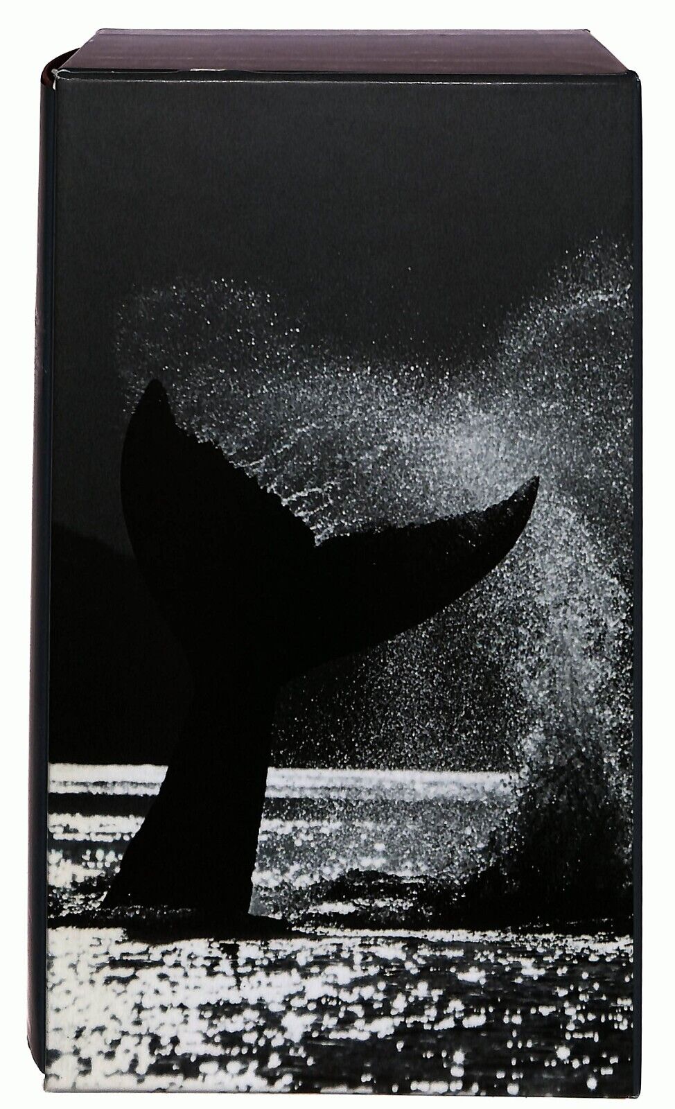 EBOND Moby Dick Vol.31 Herman Melville Repubblica Ottocento Libro LI035031