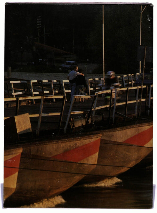 EBOND Ticino Natura Cultura Zoppe Scanferla 1990 Libro LI036130