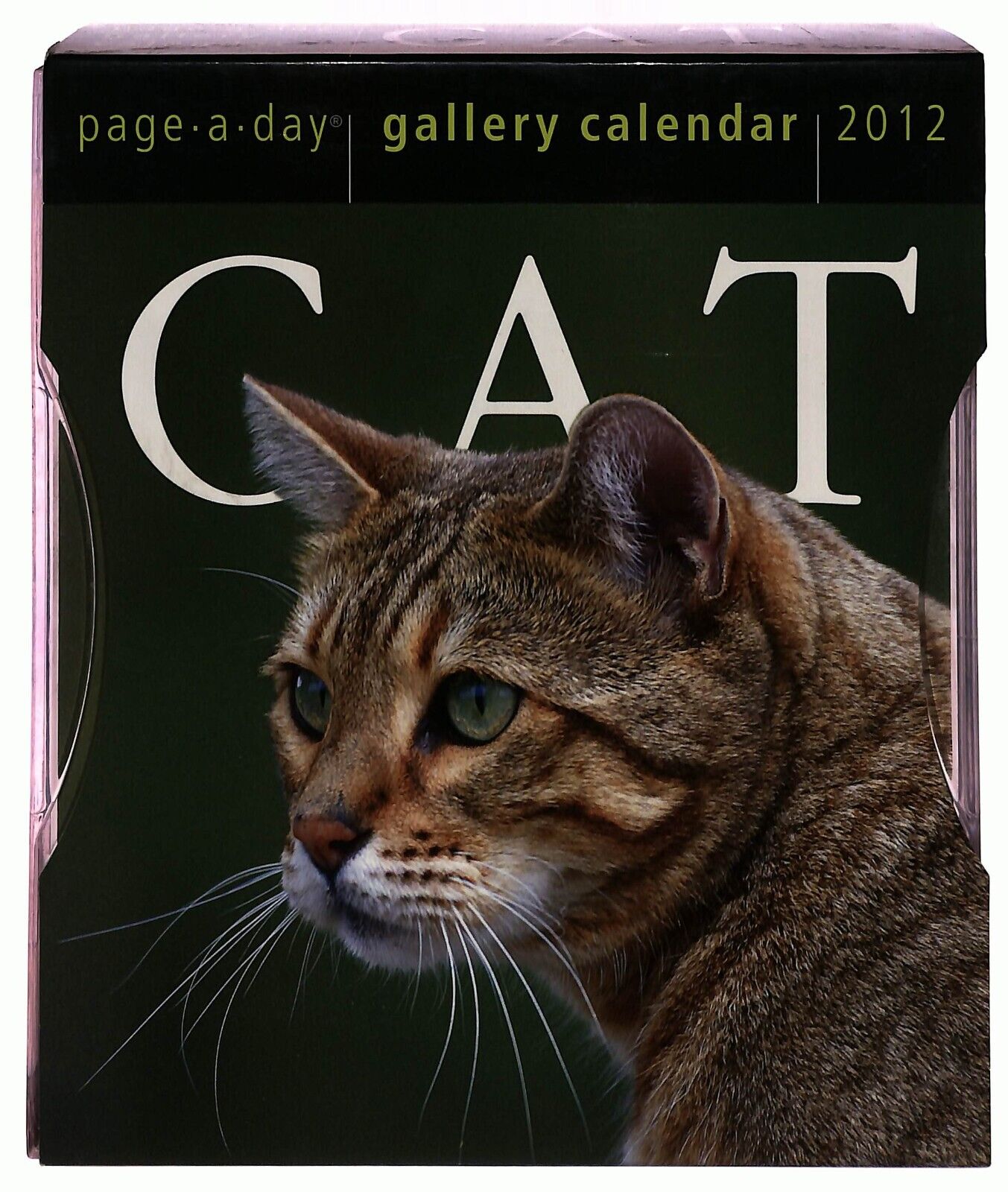 EBOND Cat Gallery Calendar 2012 Page a Day Workman Publishing Libro LI036176