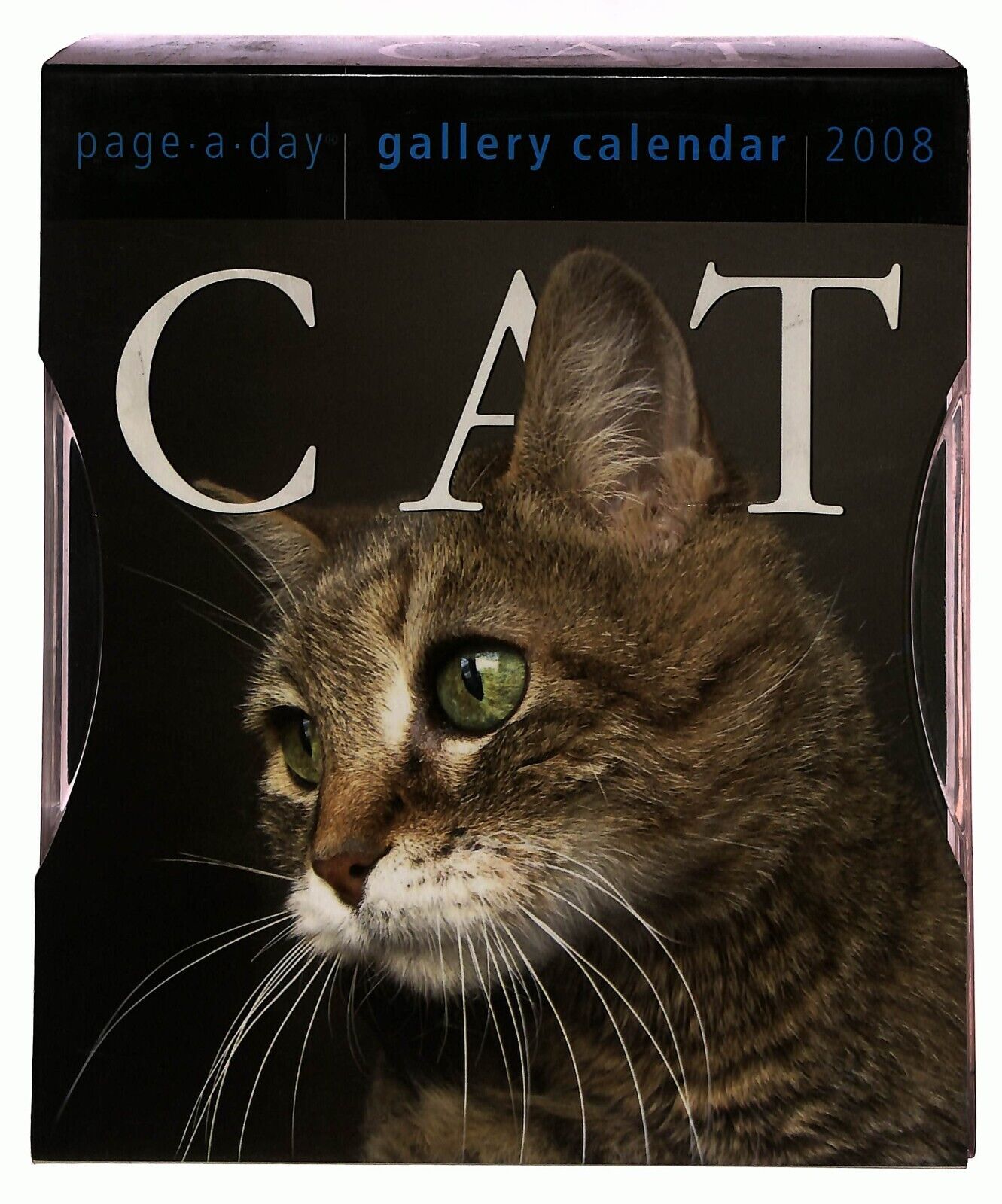 EBOND Cat Gallery Calendar 2008 Page a Day Libro LI036177