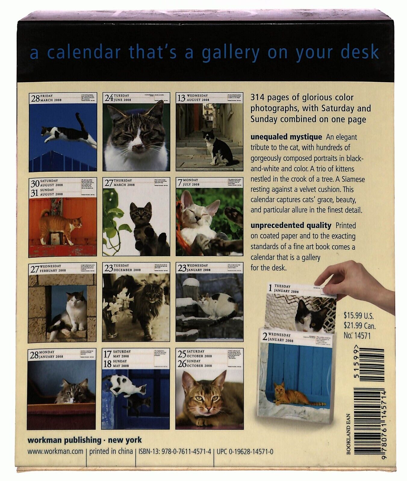 EBOND Cat Gallery Calendar 2008 Page a Day Libro LI036177