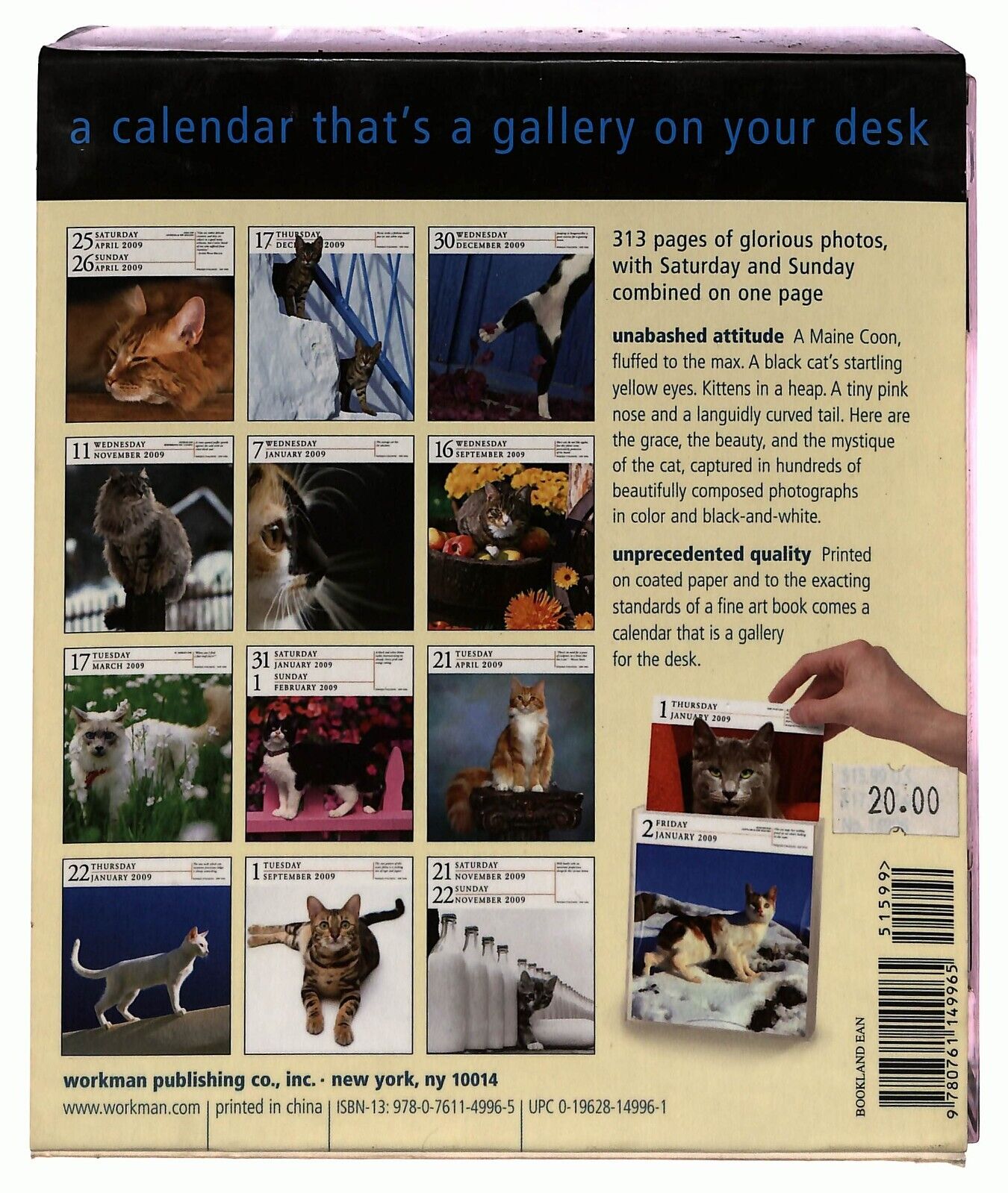 EBOND Cat Gallery Calendar 2009 Page a Day Libro LI036178