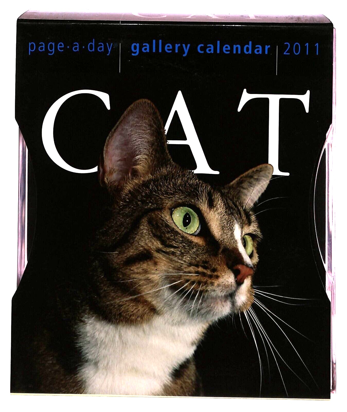 EBOND Cat Gallery Calendar 2011 Page a Day Libro LI036179