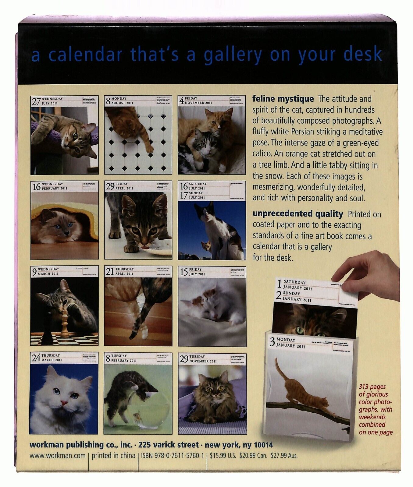 EBOND Cat Gallery Calendar 2011 Page a Day Libro LI036179