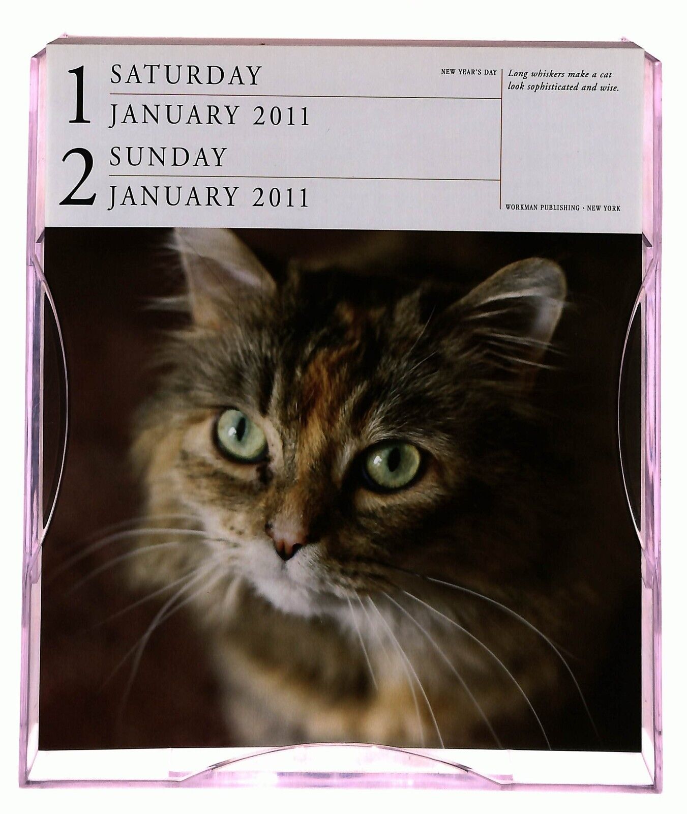 EBOND Cat Gallery Calendar 2011 Page a Day Libro LI036179
