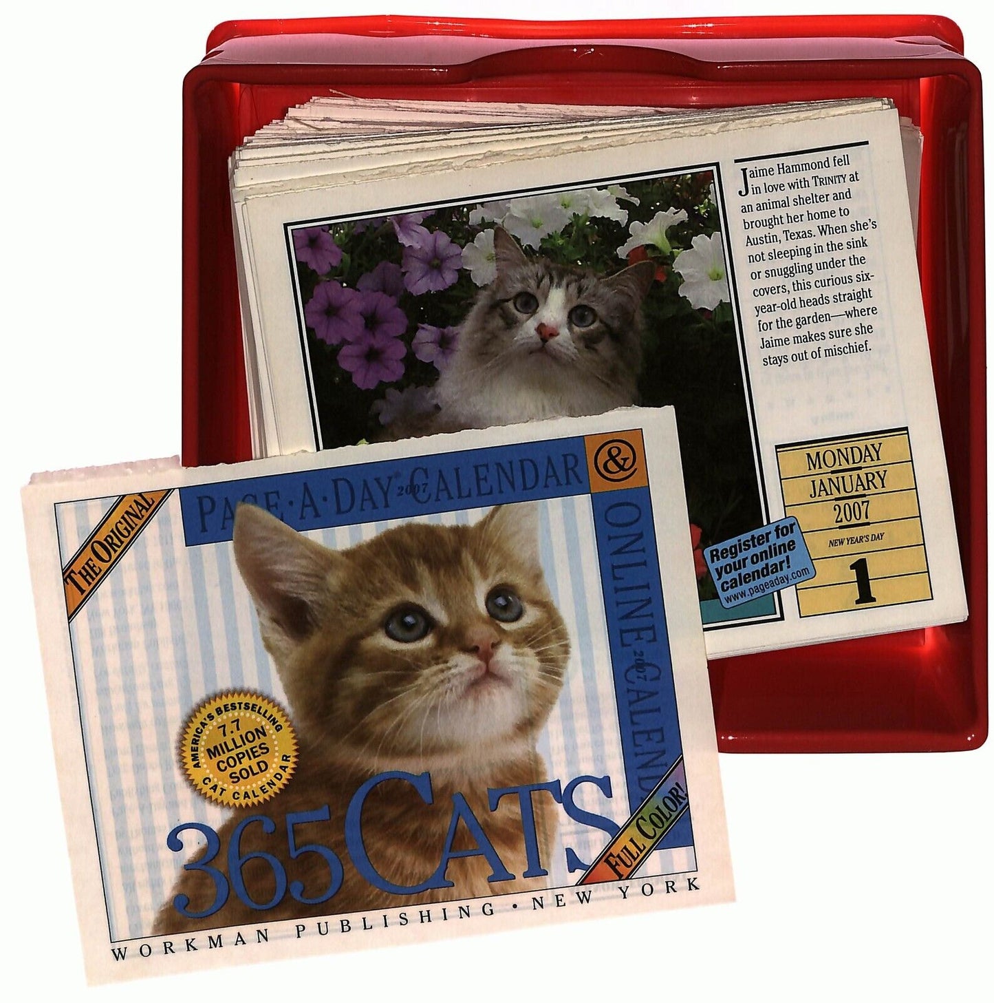 EBOND 365 Cats Calendario 2007 Page a Day The Original Libro LI036181