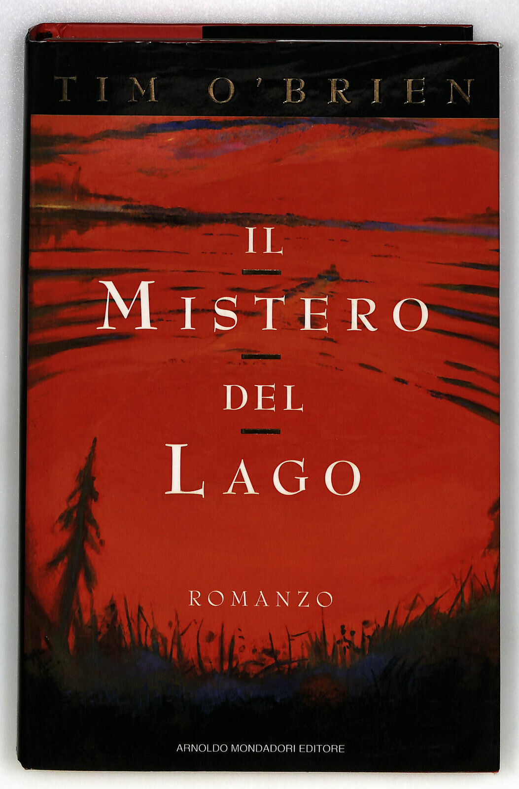 EBOND Il Mistero Del Lago Di Tim O' Brien Libro LI036406