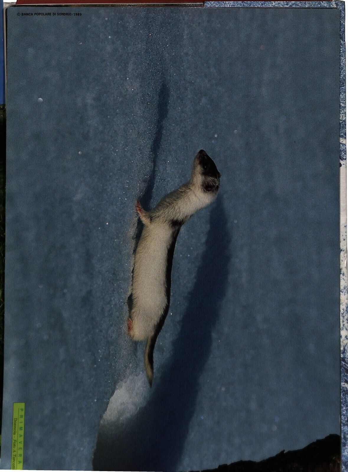 EBOND Un Attimo Un Anno Bp Sondrio Raccolta Fotografica Libro LI036780