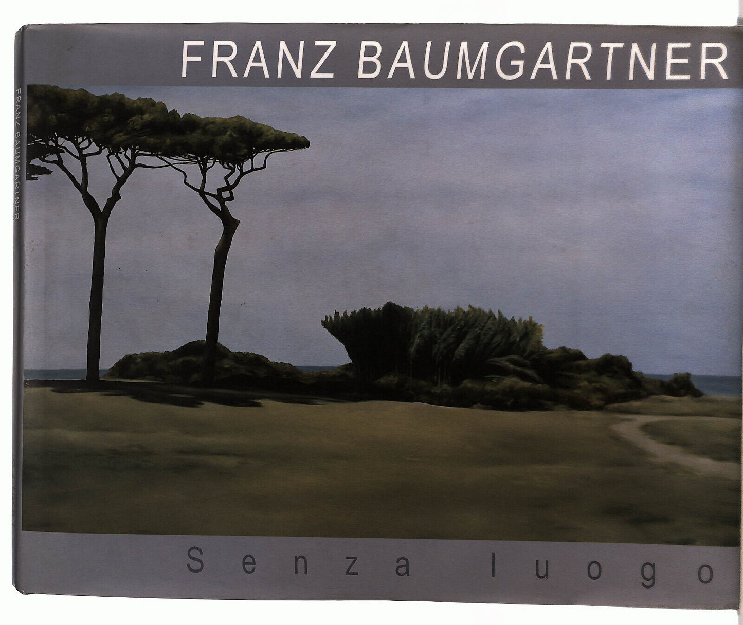 EBOND Astuni Galleria Franz Baumgartner Senza Luogo Libro LI037332