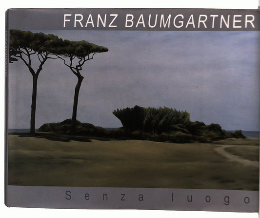 EBOND Astuni Galleria Franz Baumgartner Senza Luogo Libro LI037332