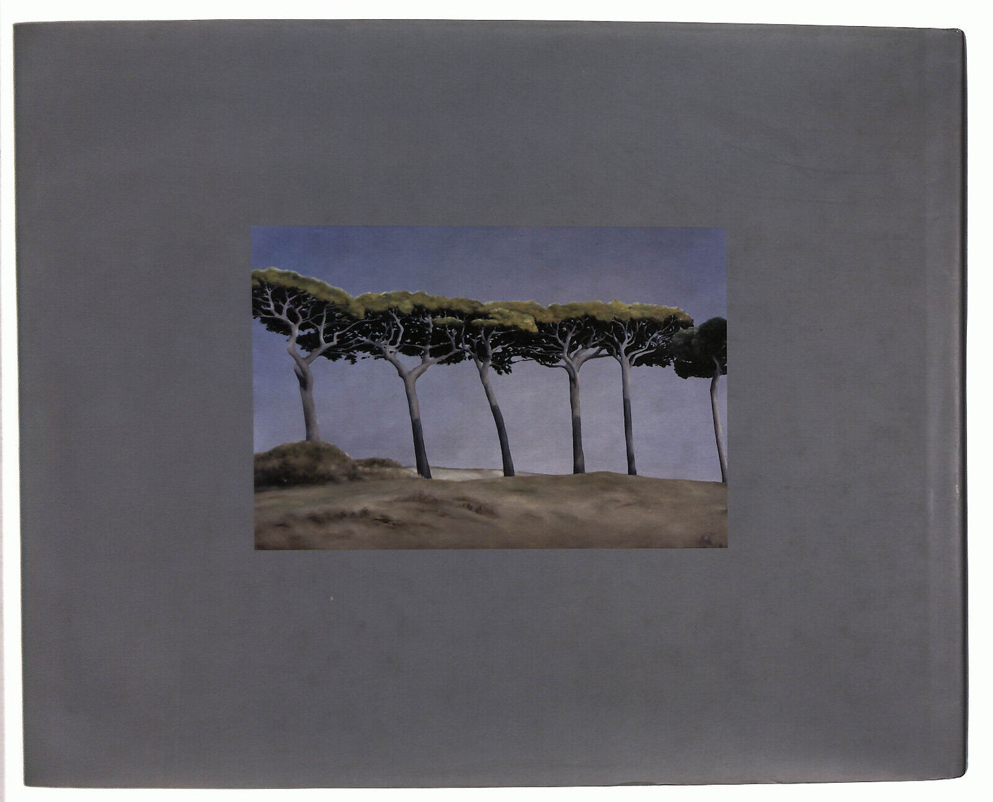 EBOND Astuni Galleria Franz Baumgartner Senza Luogo Libro LI037332