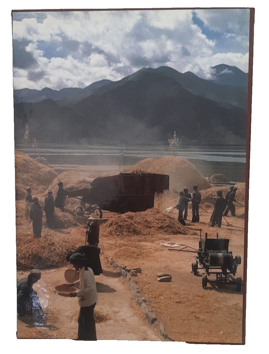 EBOND La Civilta Del Villaggio Banca Popolare Di Novara 1993 Libro LI037505