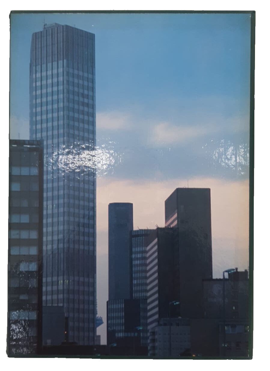 EBOND Il Cuore D'europa Banca Popolare Di Novara 1985 Libro LI037527