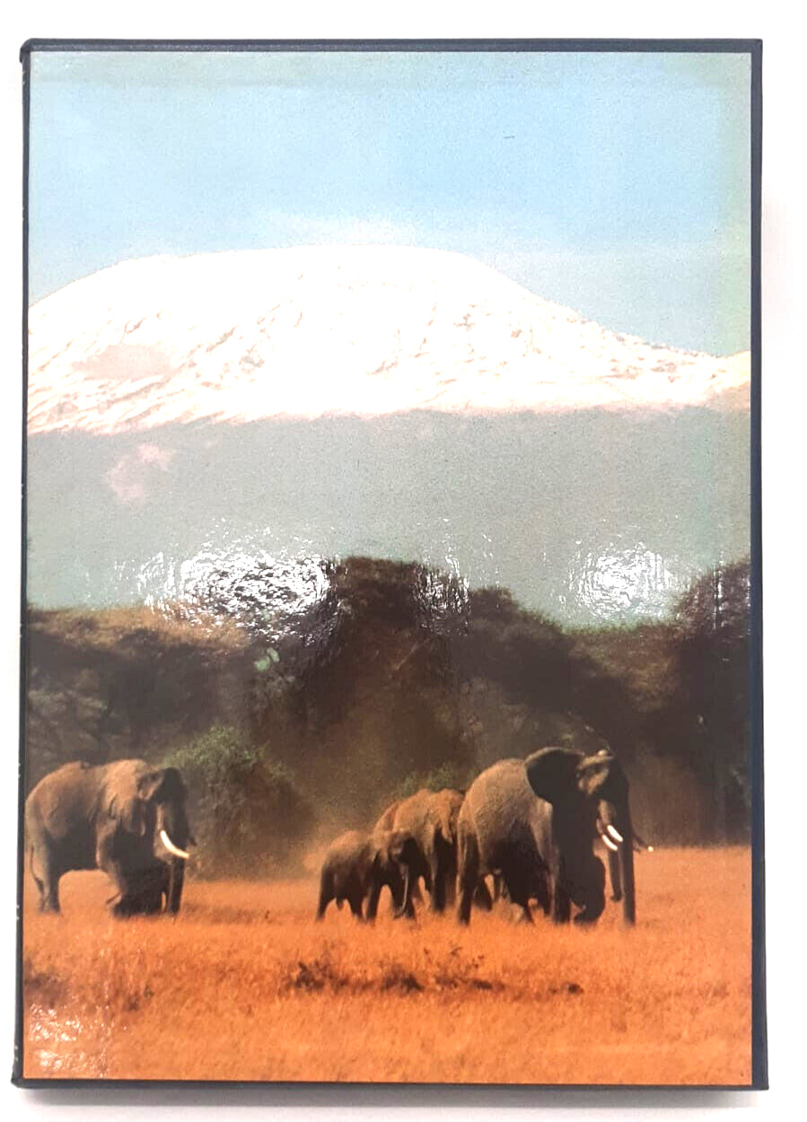 EBOND Africa Banca Popolare Di Novara 1989 Libro LI037528