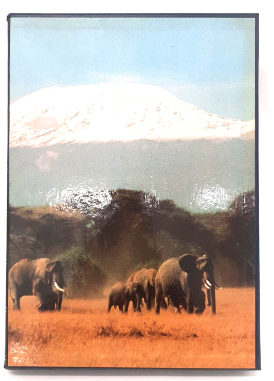 EBOND Africa Banca Popolare Di Novara 1989 Libro LI037528