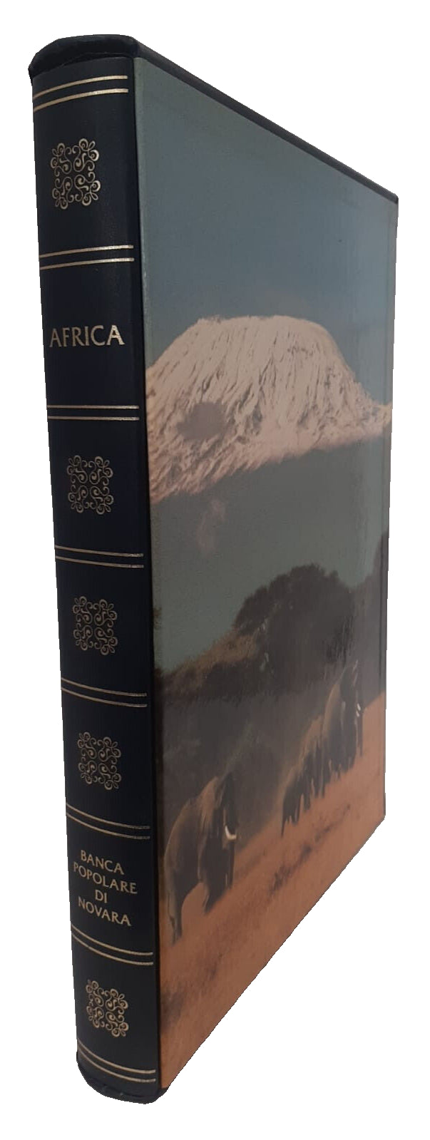 EBOND Africa Banca Popolare Di Novara 1989 Libro LI037528