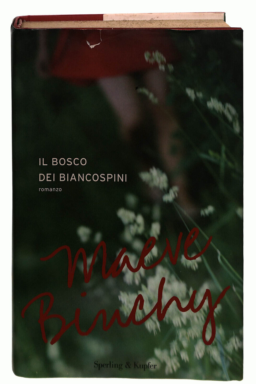 EBOND Il Bosco Dei Biancospini Binchy Libro LI037887