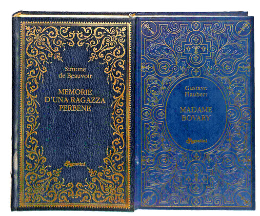 EBOND Memorie D'una Ragazza Per Bene e Madame Bovary De Agostini Libro LI038231