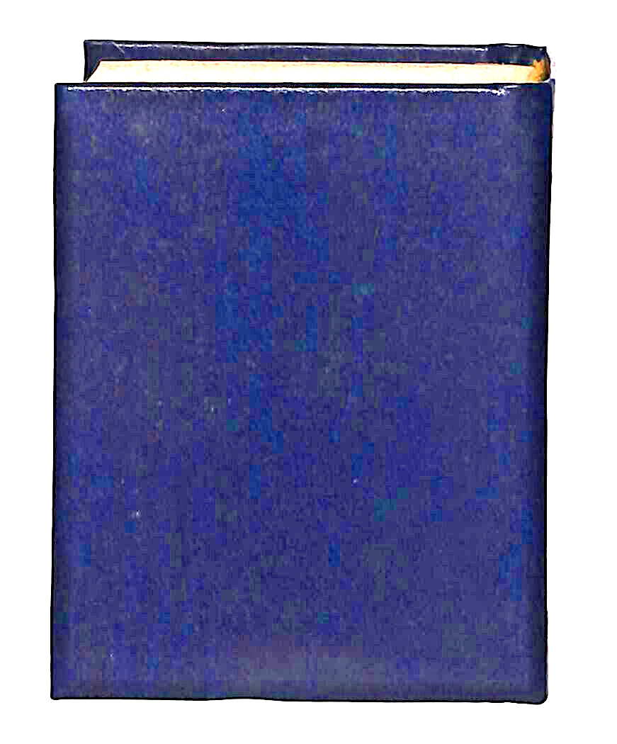 EBOND Mini Biblioteca Peruzzo L'agente Segreto Libro LI038512