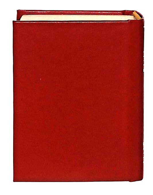 EBOND Mini Biblioteca Peruzzo Il Diavolo In Corpo Libro LI038516