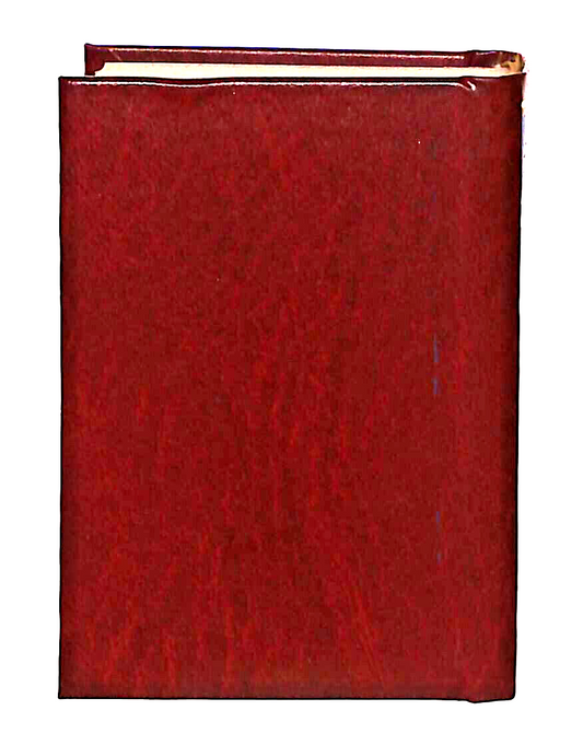 EBOND Mini Biblioteca Peruzzo Il Romanzo Di Un Giovane Povero Libro LI038531