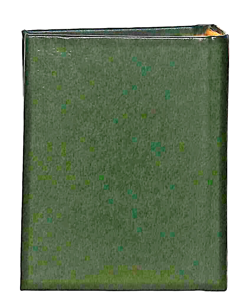 EBOND Mini Biblioteca Peruzzo Il Ritratto Di Dorian Gray Libro LI038538