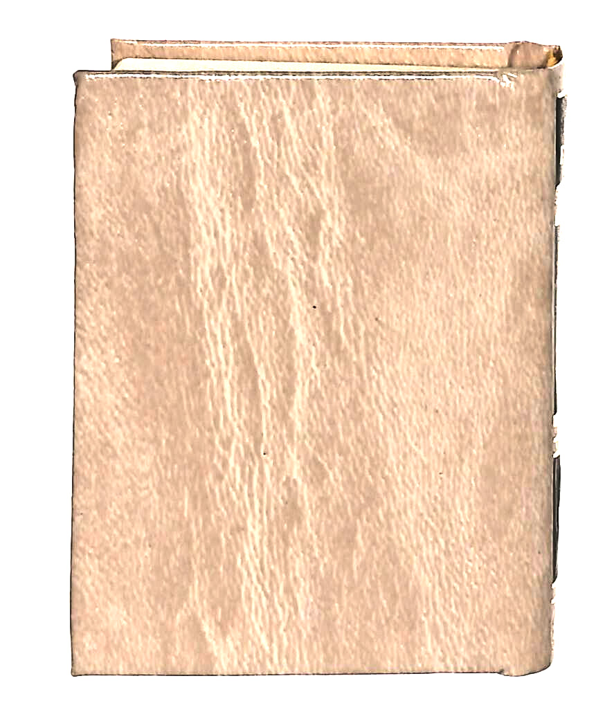 EBOND Mini Biblioteca Peruzzo Passione D'amore Di Manon Lescaut Libro LI038573