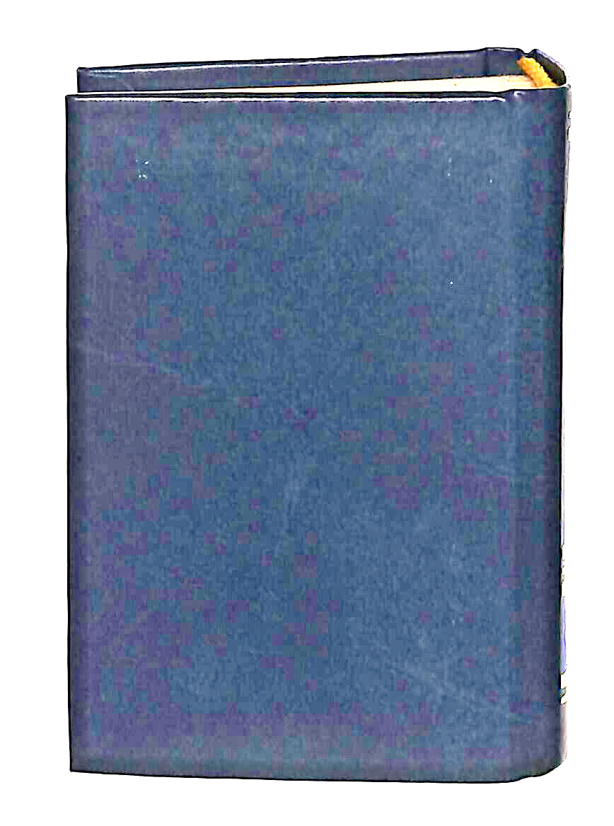 EBOND Mini Biblioteca Peruzzo Ventimila Leghe Sotto i Mari Libro LI038580