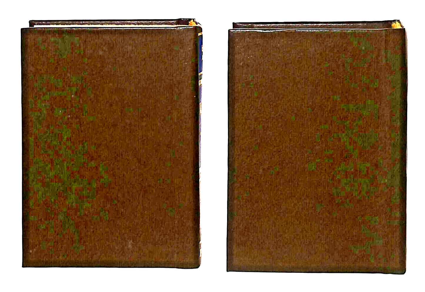 EBOND Mini Biblioteca Peruzzo I Racconti Del Terrore Volumi 1 e 2 Libro LI038591