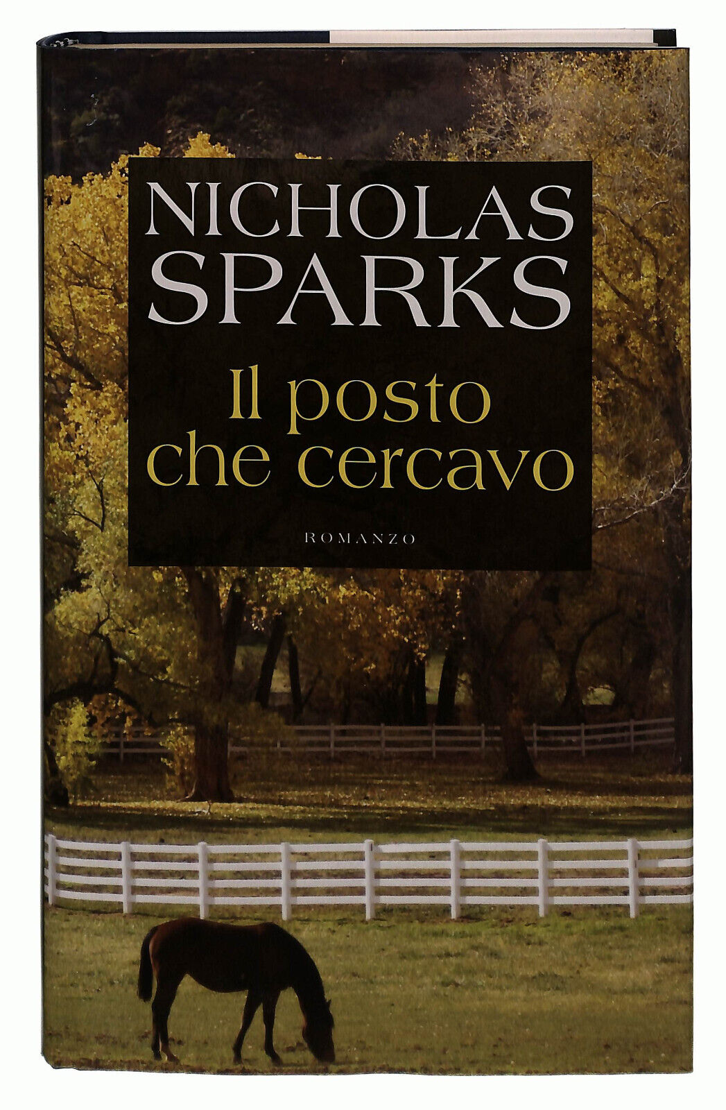 EBOND Il Posto Che Cercavo Sparks Libro LI038834